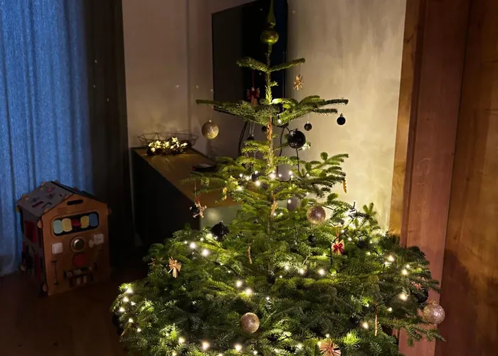 Apartbene Lejlighed